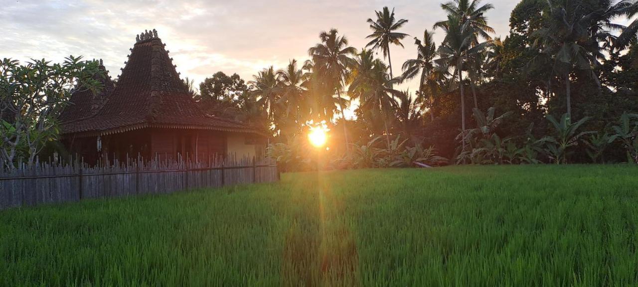 Galang Hari Villa Ubud Exterior foto